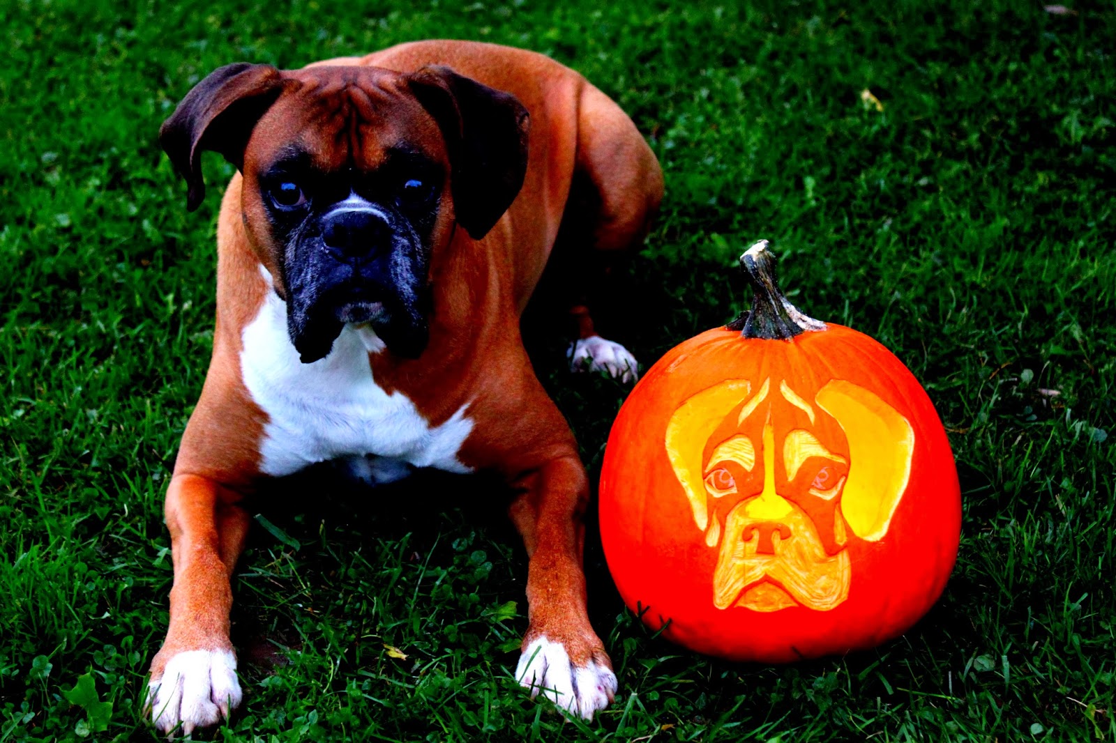 Here Comes The Fun October 2013