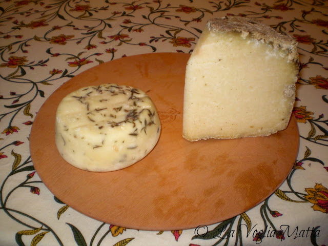 caciotta alla santoreggia e jamar, formaggi di Dario Zidarich