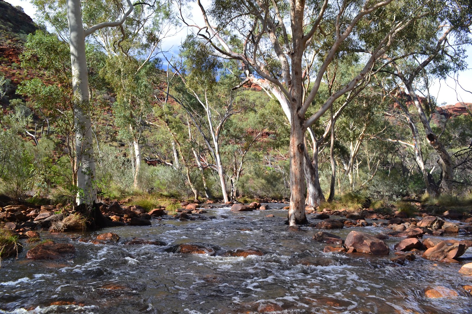Goin' Feral One Day At A Time Kings Creek Walk, Watarka National Park