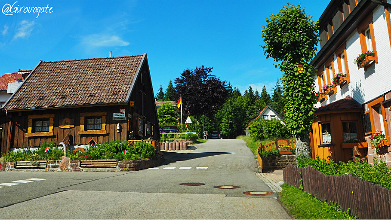 kniebis freudenstadt foresta nera