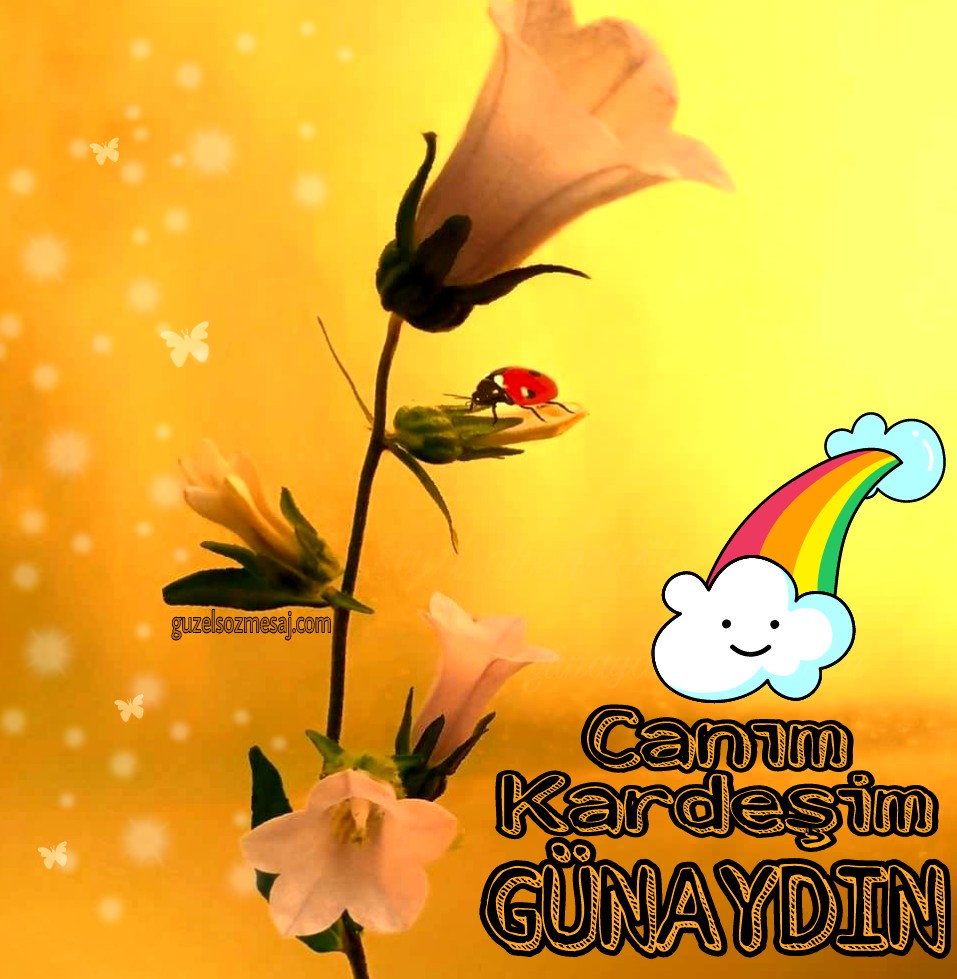 Sevgiliye atılacak romantik günaydın mesajları Sevgiliye atılacak romantik günaydın mesajları