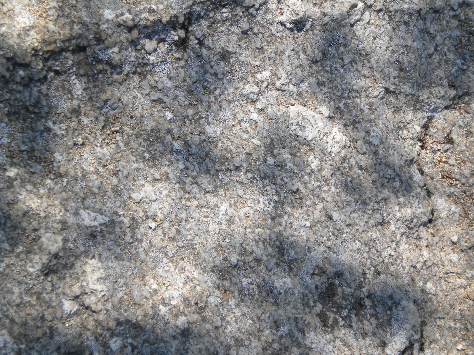 I – Tipos de monjes (2) - ReL