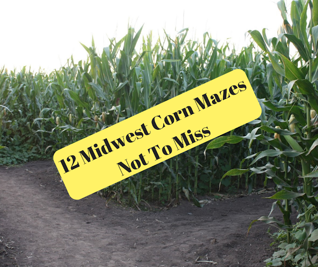 Corn Mazes in the Midwes