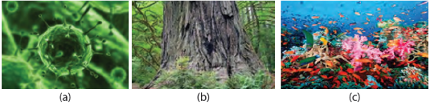 Objek IPA dan Pengamatannya imron.web.id