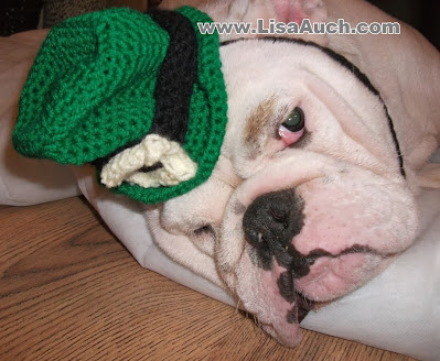 St patricks day crochet hat for a dog or cat