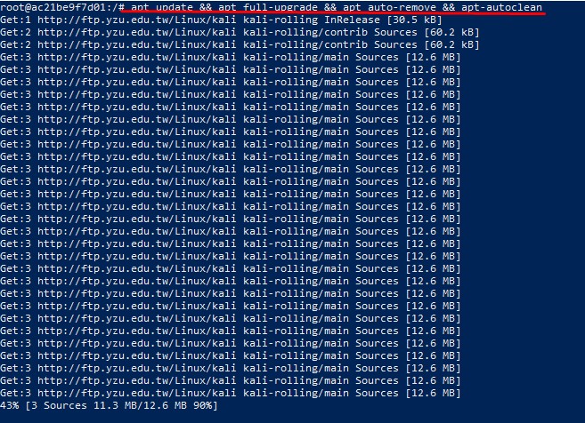 kali linux docker container kali linux docker container