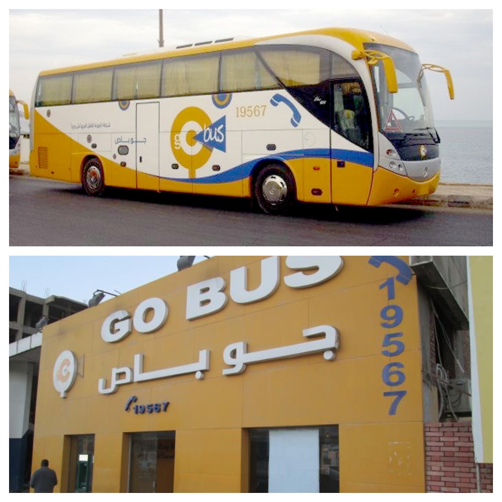 Гоу автобус. Автобус Хургада Каир go Bus. Elite Bus автобусы. Go Bus Elite Plus. Go Bus Elite Plus автобусы.