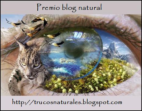 Tag Premio Blog Natural