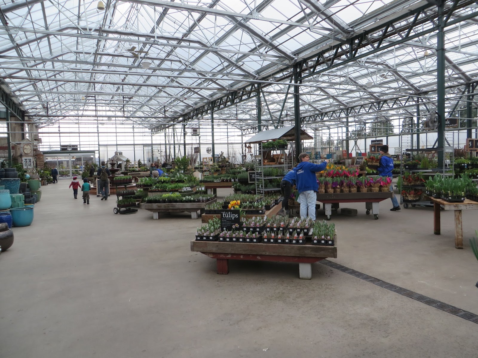 Nursery Visit Sky Nursery Seattle