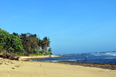 Marang or improve known equally Melasti beach is ane beach which is located on the due west coast Best Place to visit in Bali Island: Melasti Beach Krui Pesisir-Barat