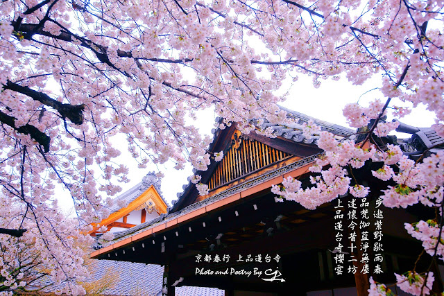 京都春行桜色の上品蓮台寺 紫野薄花櫻 品梵薄花櫻 Spring Travel In Japan With Cherry Blossoms In Jobonrendaiji Cristaljuan的攝影視界 痞客邦