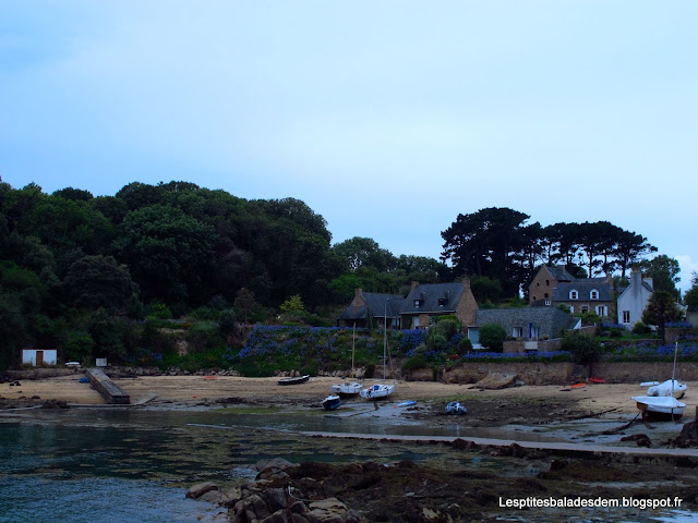 Bretagne - Île de Bréhat