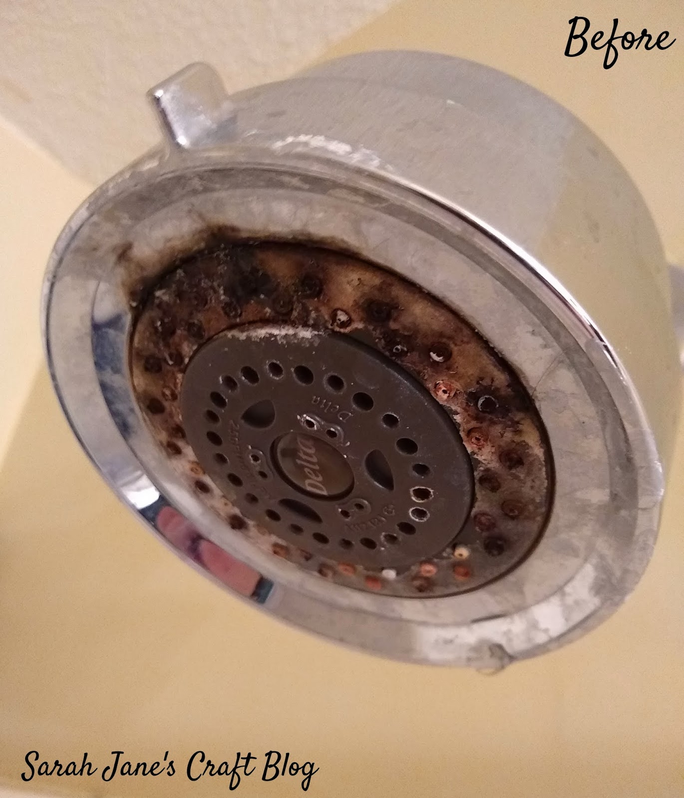 Sarah Jane S Craft Blog Tested Life Hack Diy Shower Head Sarah Jane S Craft Blog Tested Life Hack Diy Shower Head