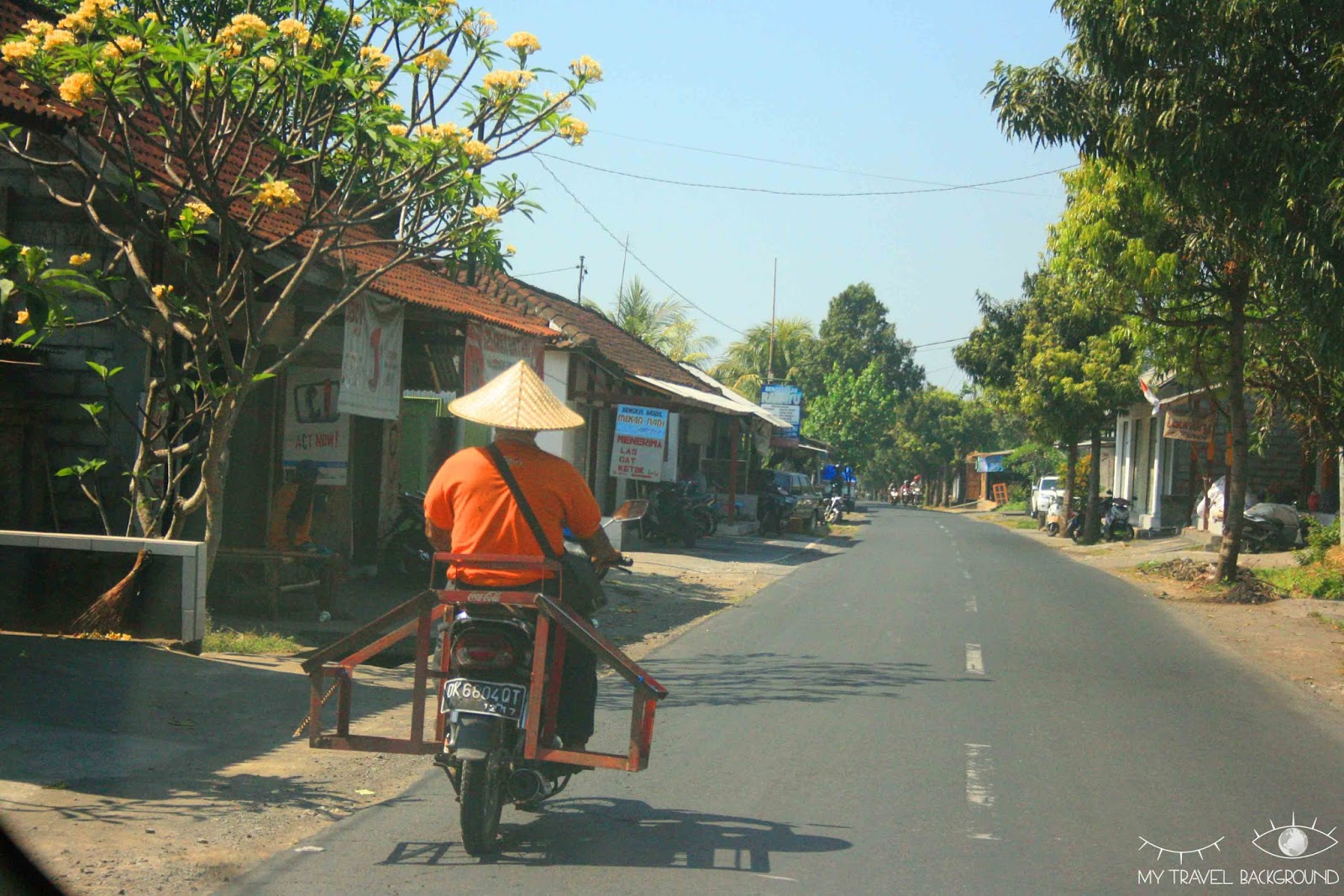 6 CHOSES  faire  UBUD  au CENTRE DE BALI My Travel 