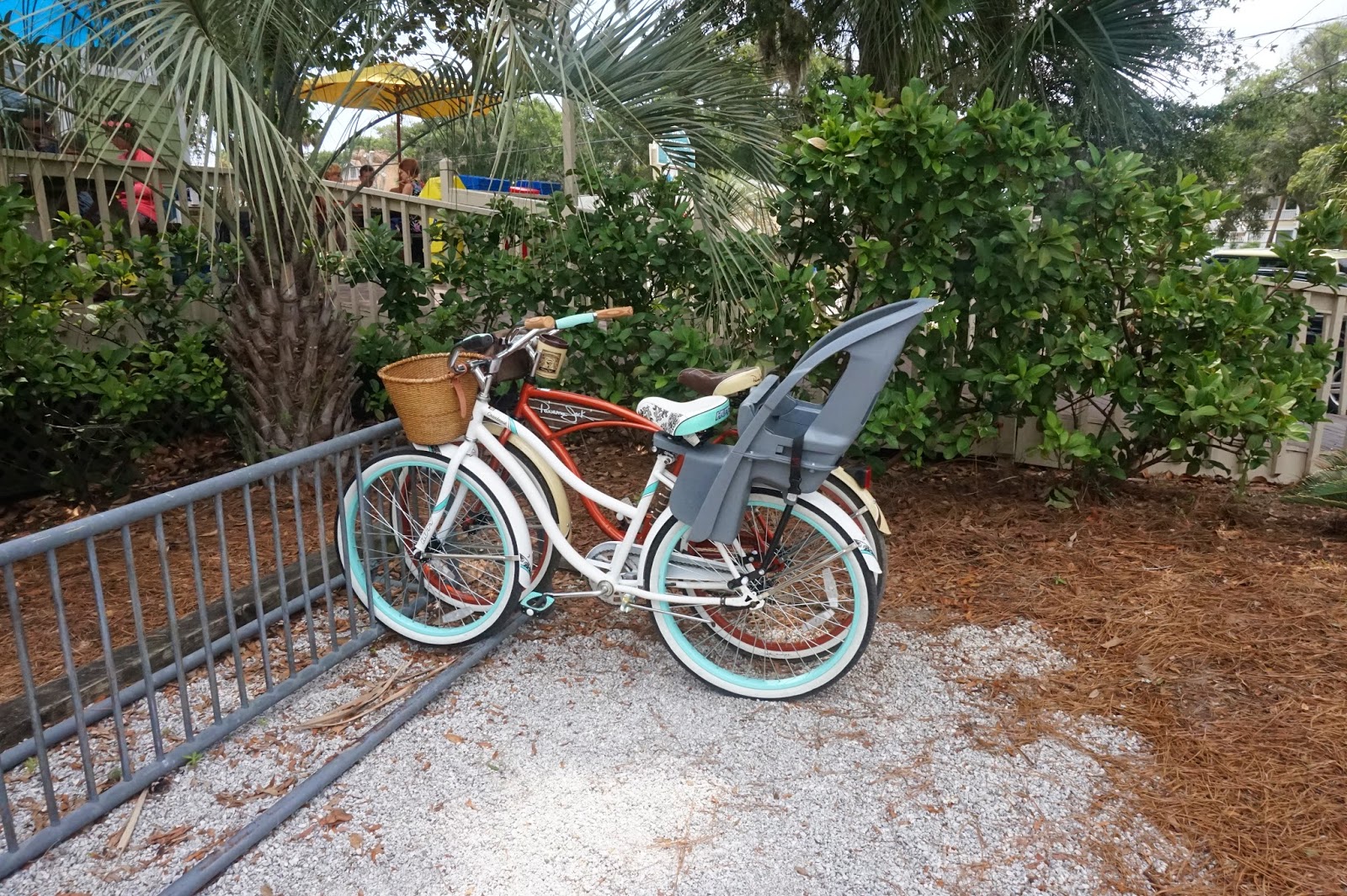 The Sea Cow Eatery (Edisto Beach, SC) - Cosmos Mariners: Destination