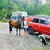 Hidden Slovenia - Lesson #1 - Of horses and people / Des hommes et des chevaux