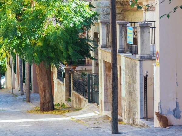 Travelmarx The Sydney And Walda Besthoff Sculpture Garden