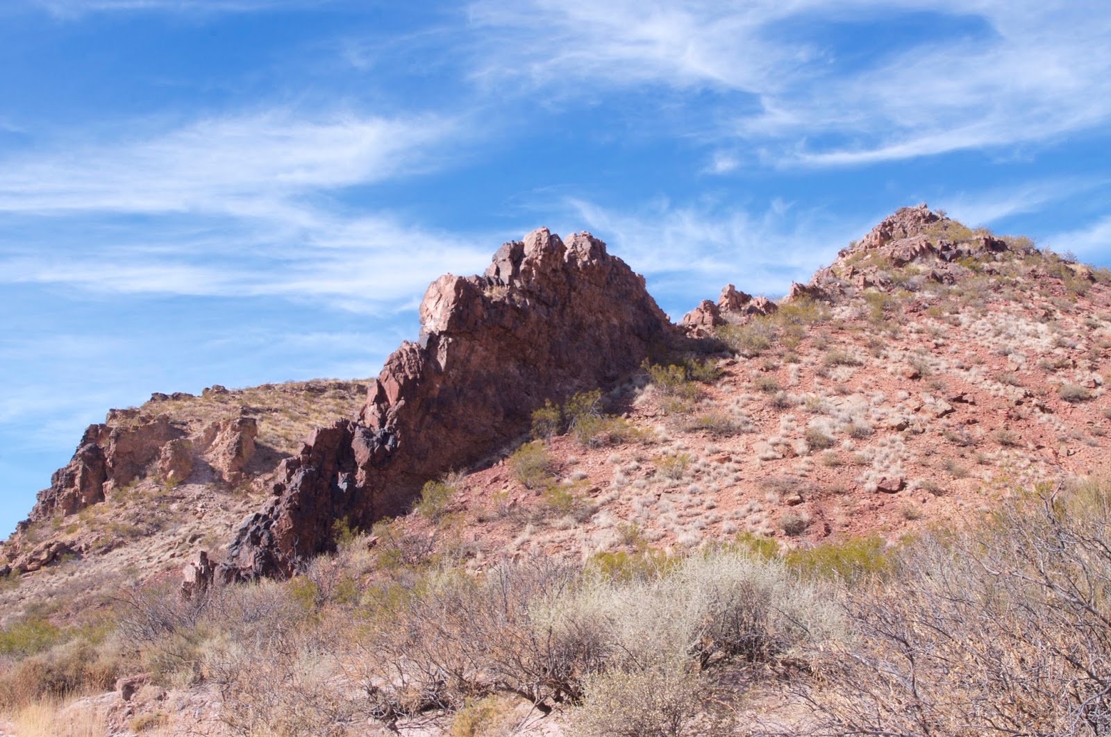 Southern New Mexico Explorer Broad Canyon WildernessRattlesnake Hills