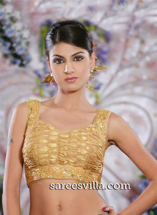 sleeveless saree blouse patterns for women