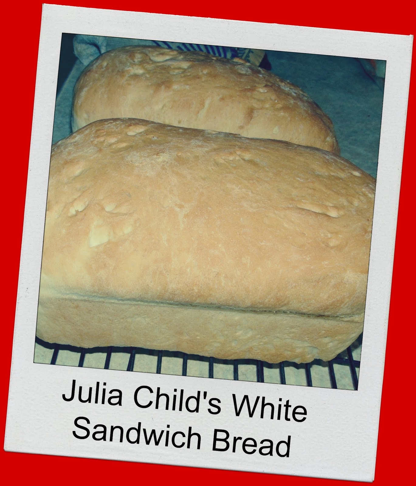 Recipe Julia Child Sandwich Bread A Net in Time