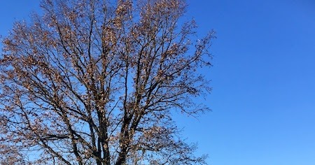 Liebestest Liebt Er Mich Wirklich