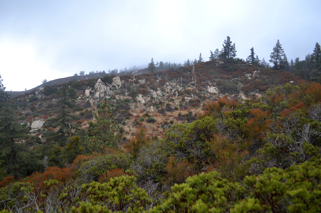 rocky surroundings