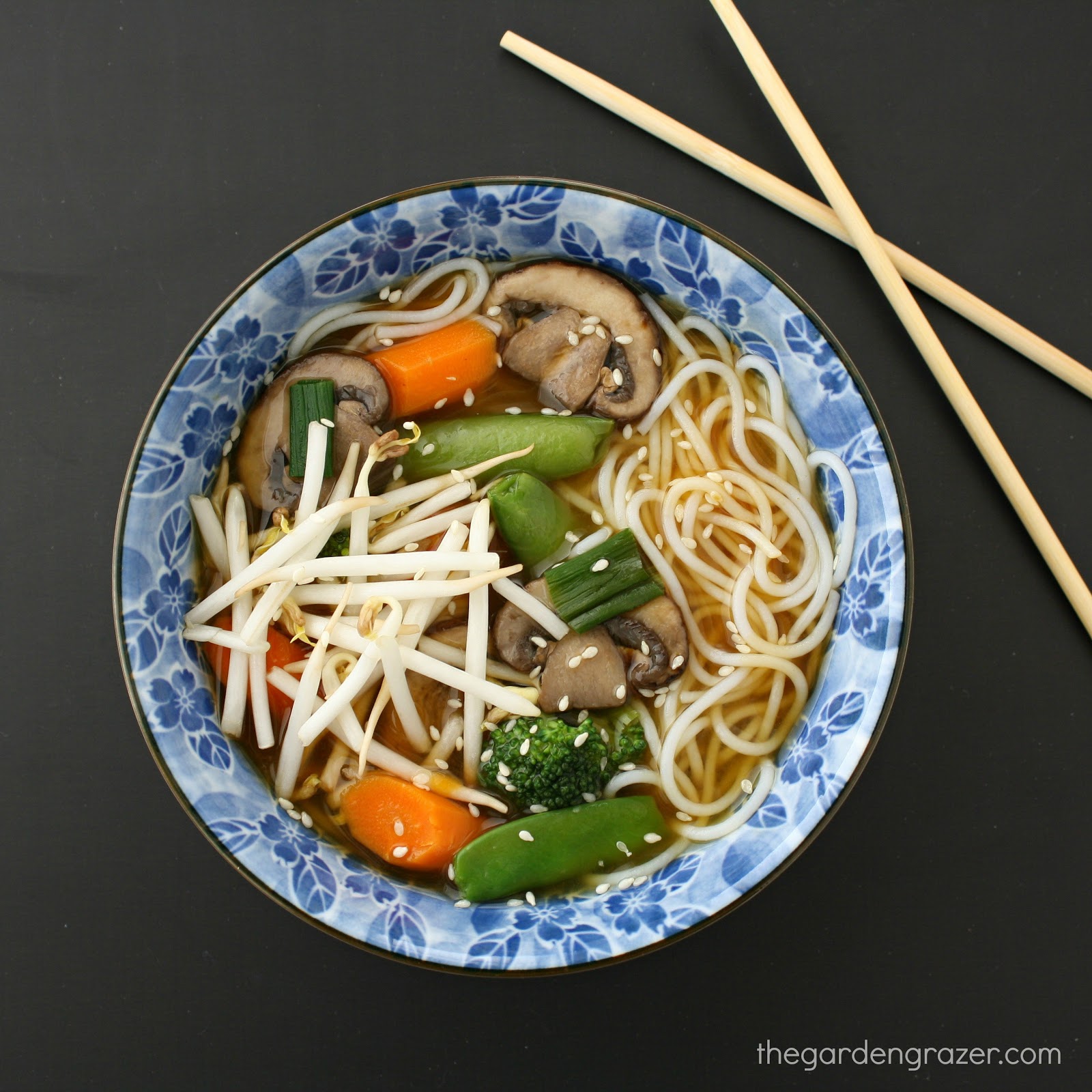 Asian Noodle Soup | The Garden Grazer