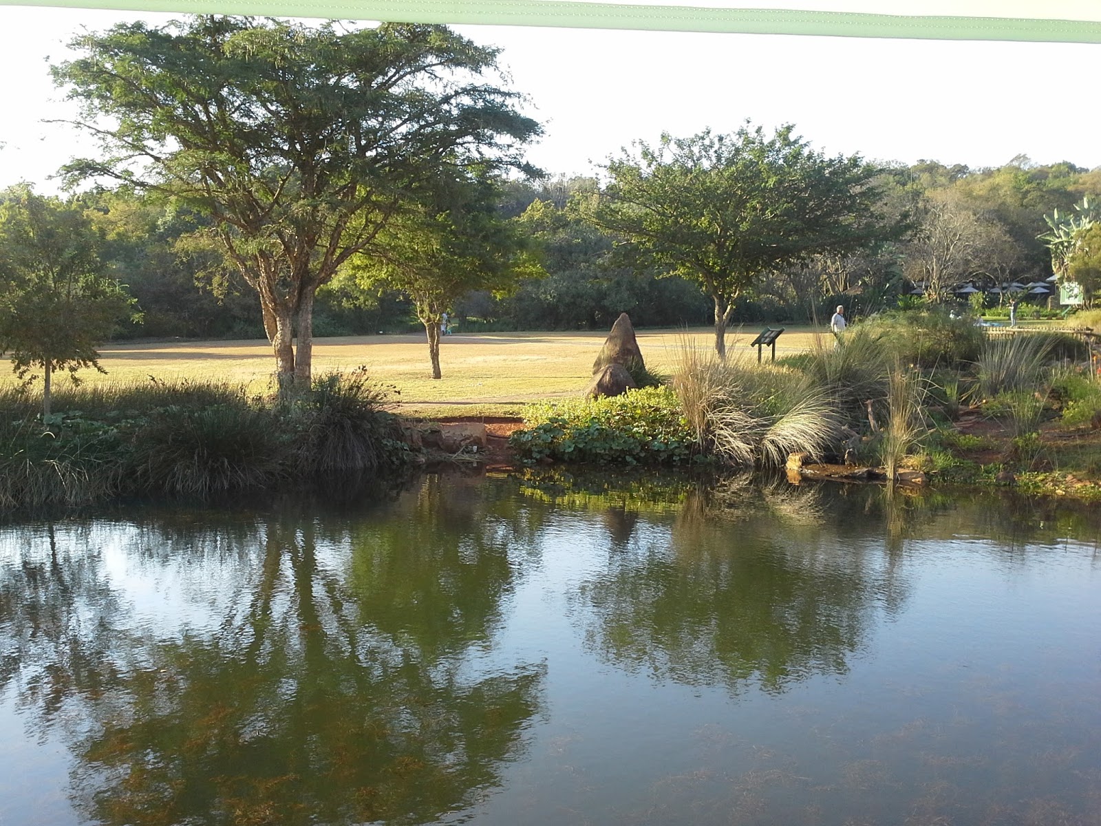 Go with Henry Sunset tea at the Pretoria Botanical gardens