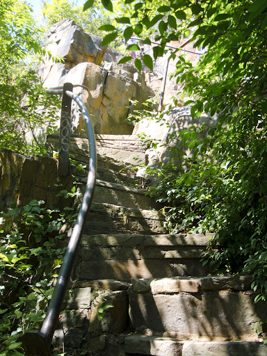 The Giant Steps Trail at East Rock Park