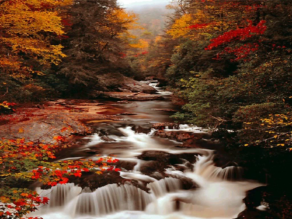 Autumn Graphics Picture Autumn Falls
