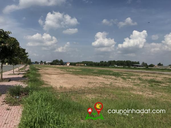 Bán đất nông nghiệp Đồng Tháp