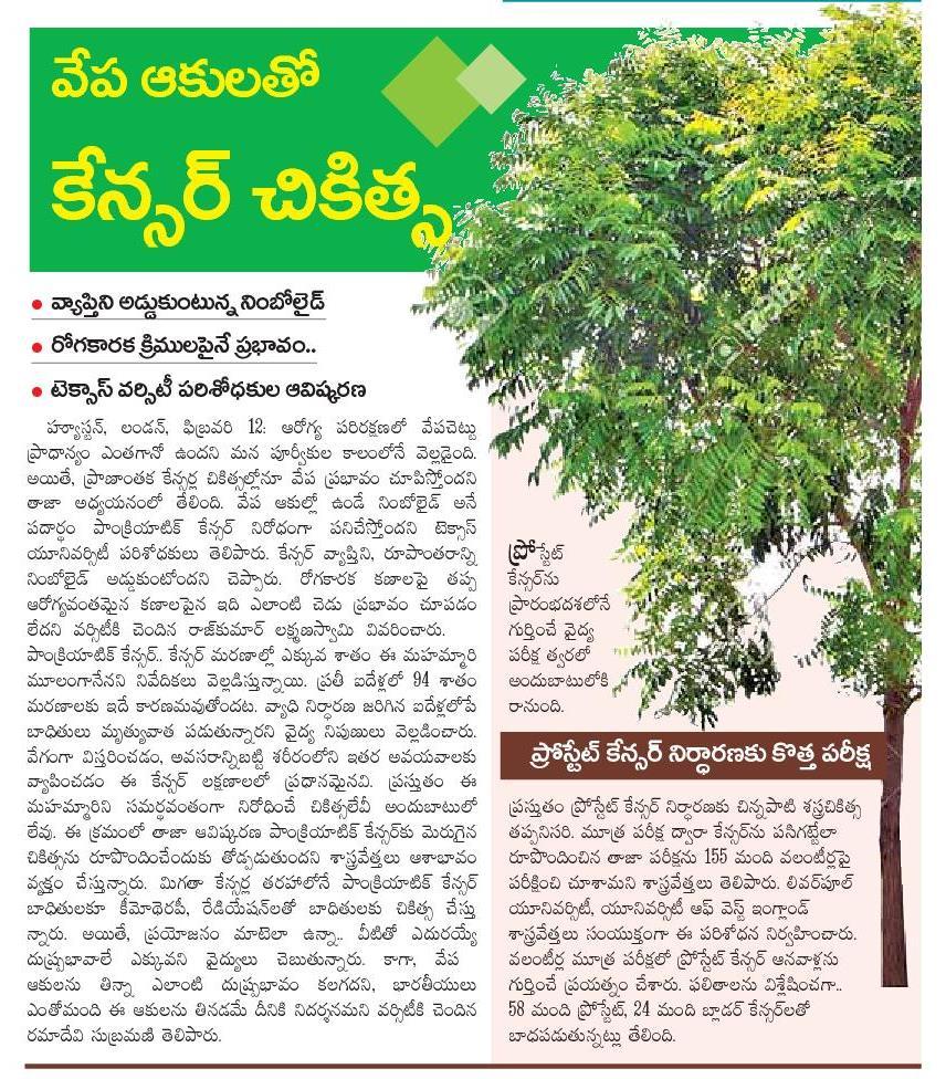TELUGU WEB WORLD CANCER CURE WITH NEEM TREE LEAVES VEPA AKULU EXPERTS ANALYSIS