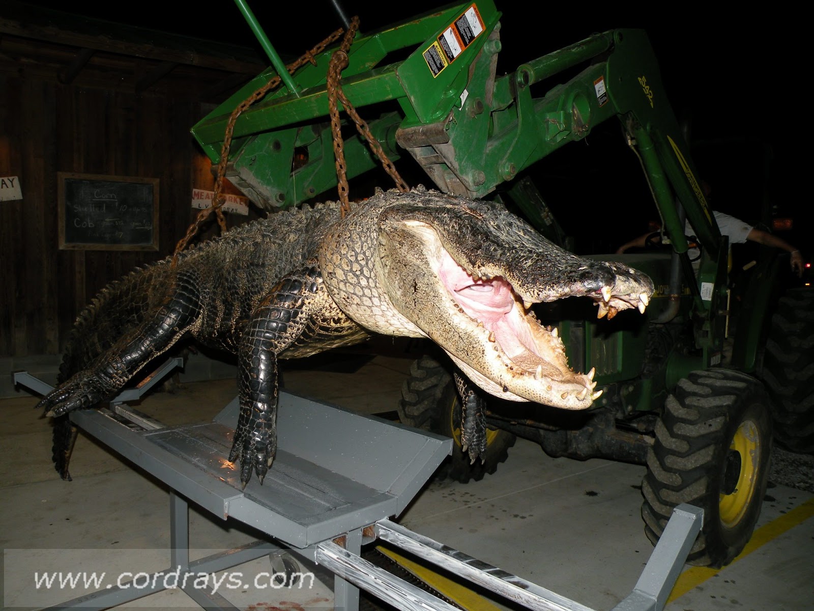 Cordray's Contact SC Department of Natural Resources to get