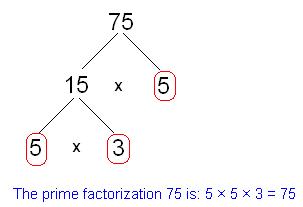 Stay calm and learn prime factorization: 2017