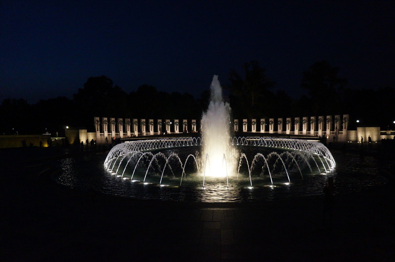 musings florida snow shovel