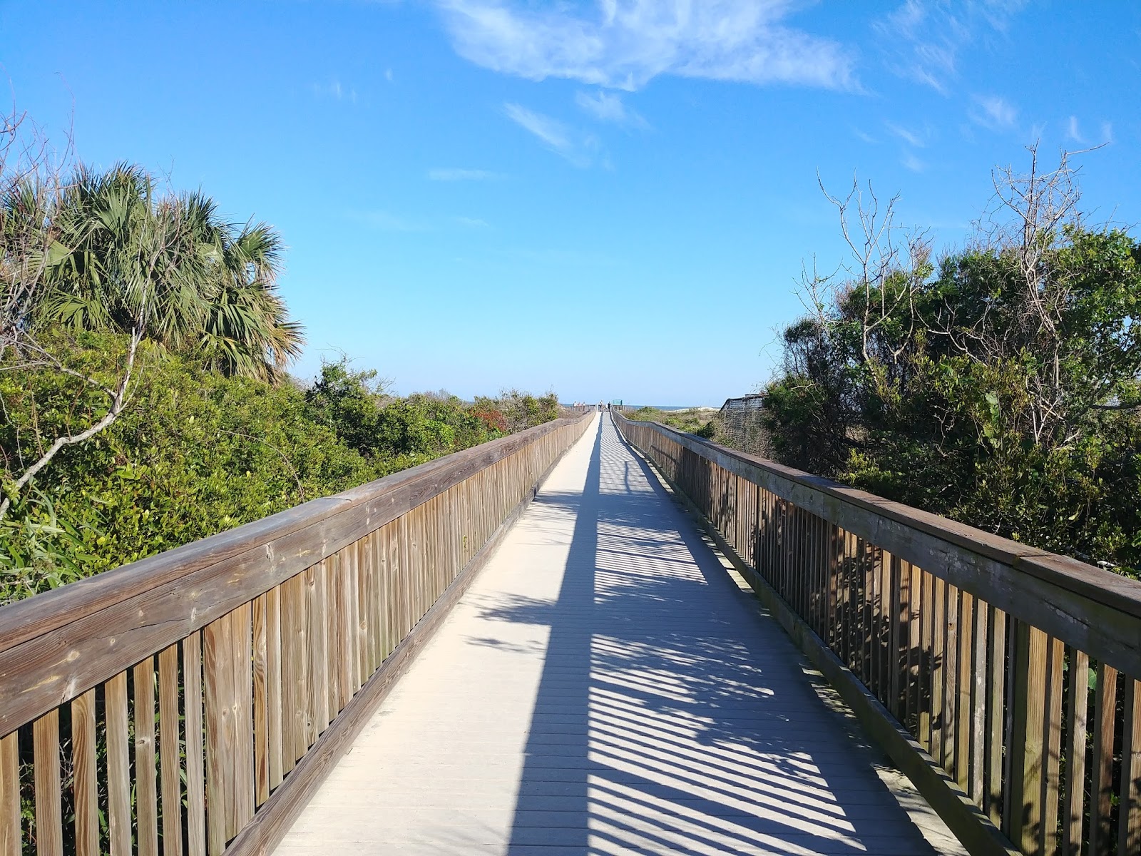 Conoce a Ocean Hammock park