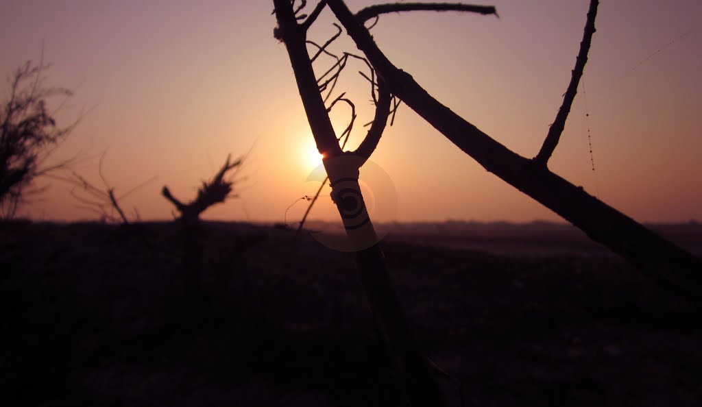 Tamilnadu Tourism Marakkanam Beach, Villupuram