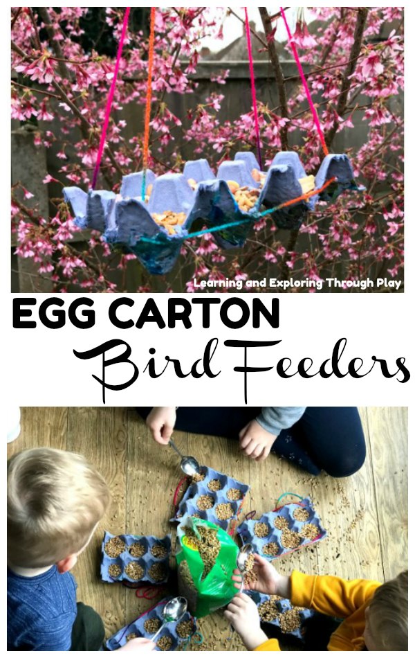 Learning and Exploring Through Play Egg Carton Bird Feeder