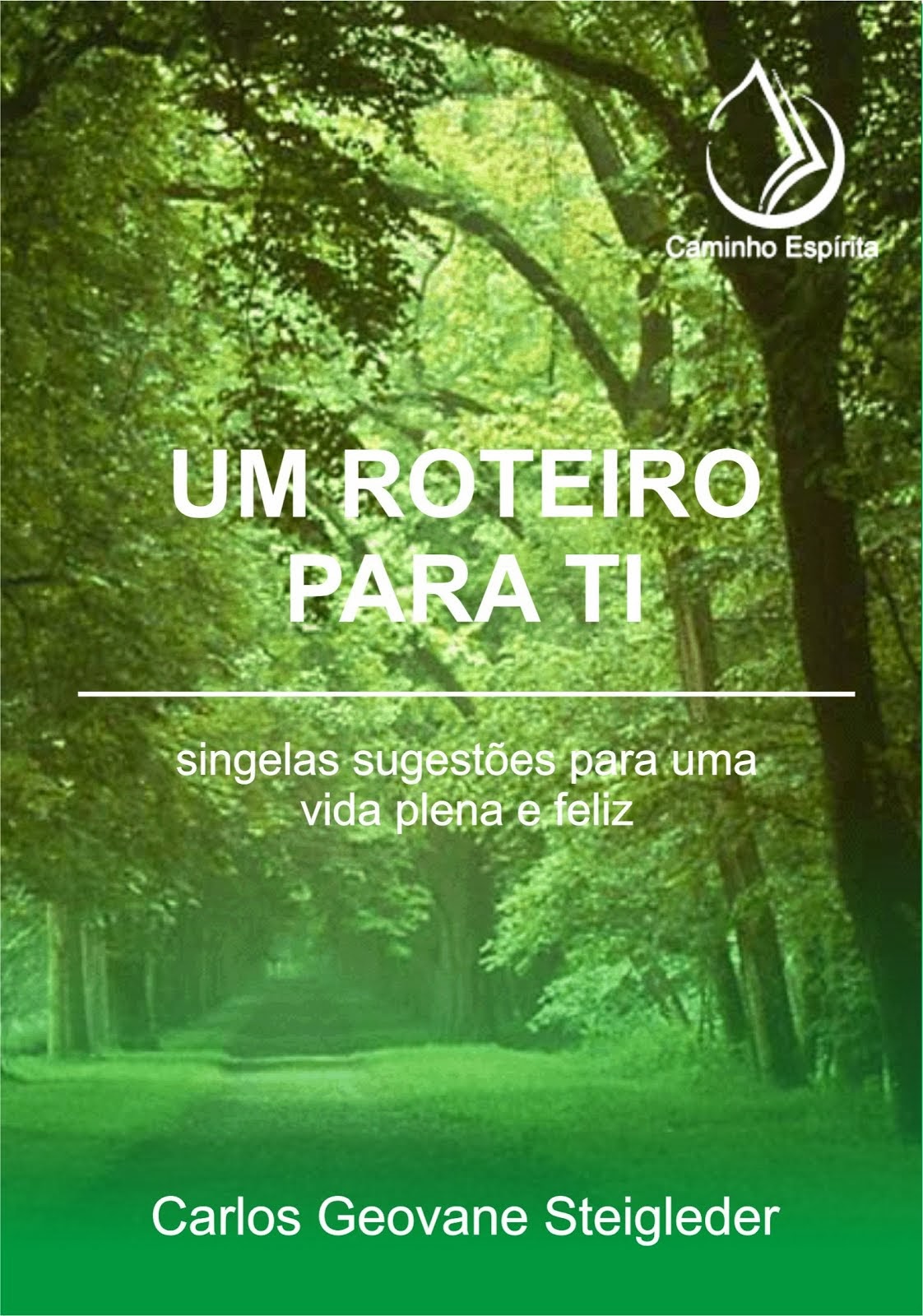 Um roteiro para ti - audiolivro