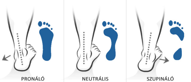 jogasaman.com: A boka stabilitása
