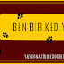 KİTAP İNCELEMESİ #24: BEN BİR KEDİYİM - NATSUME SOSEKI