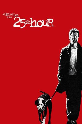 25th Hour (2002) ταινιες online seires xrysoi greek subs