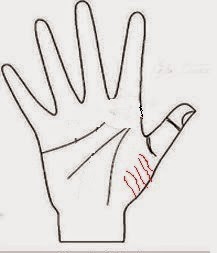 A line on the palm that indicates fame and high name Fame line