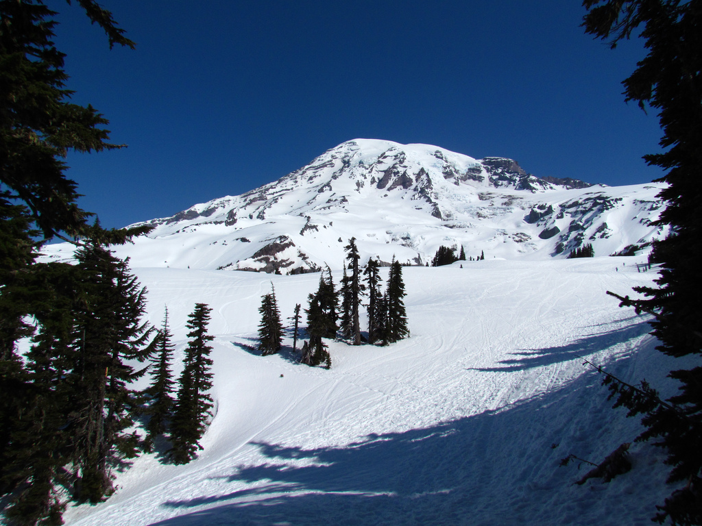 Visit Rainier Mt. Rainier National Park Announces Spring & Summer
