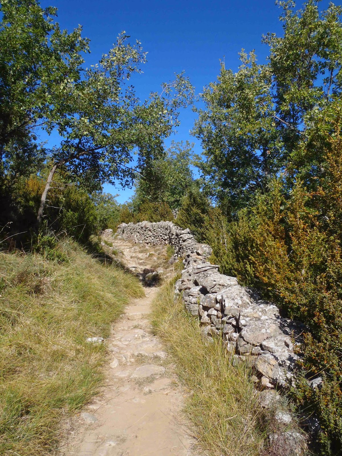 El Valle de Rodellar: LA VUELTA AL BARRANCO MASCÚN