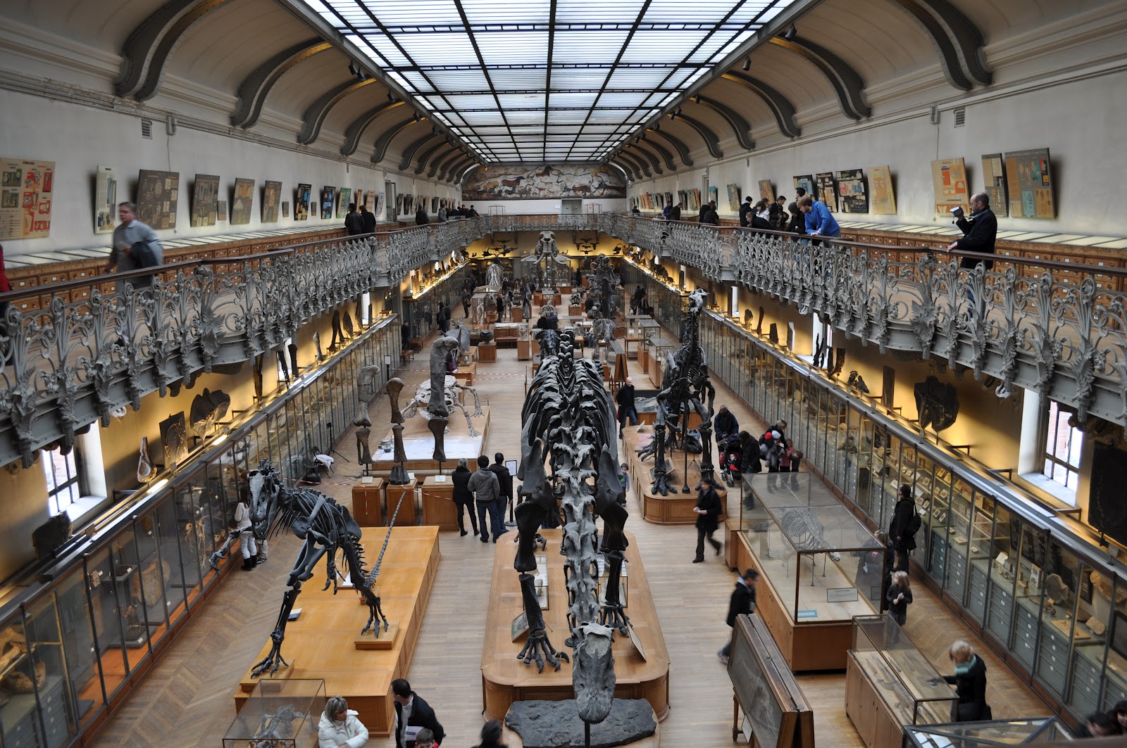 Strasbourg Natural History Museum Strasbourg Natural History Museum