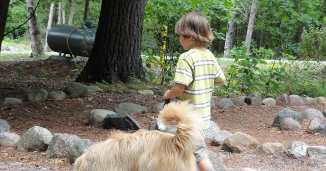 Online Arbeitsrecht 1983