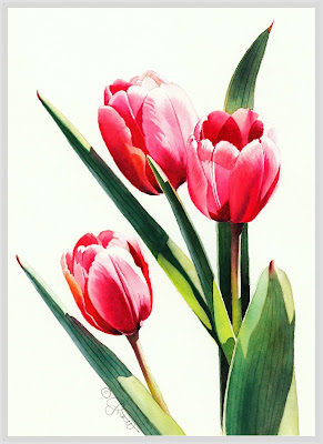 Contemporary Realism: Three Tulips