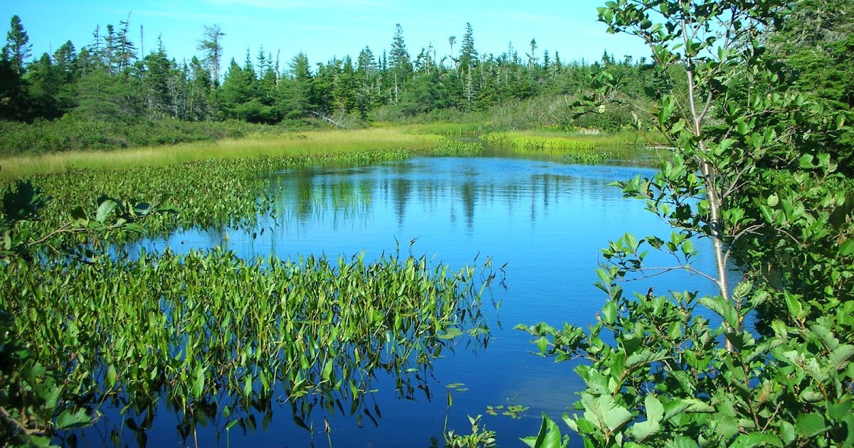 CapeBretonNorvellHimselfSingleMalt The Old Mill Pond