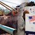 Election Day Was a Distraction - Dakota Access Pipeline Sneakily Defies White House and Pushes on With Drilling